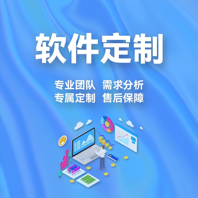 软件定制开发：解锁企业数字化转型的钥匙